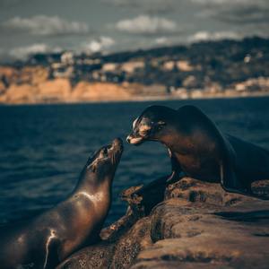 中国性老太HD大全69
