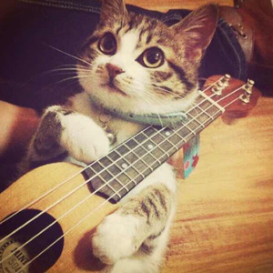 中国性老太HD大全69
